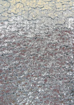 DAMES AMAYA AMSTERDAM TRUI