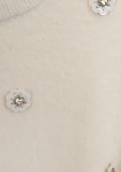 DAMES ANNA BLUE TRUI