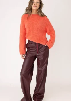 DAMES ANNA BLUE TRUI