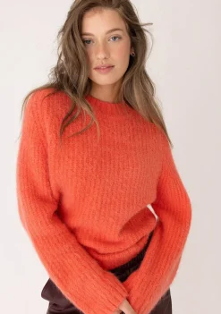 DAMES ANNA BLUE TRUI