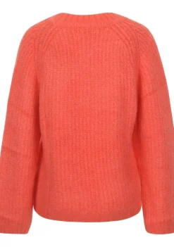 DAMES ANNA BLUE TRUI