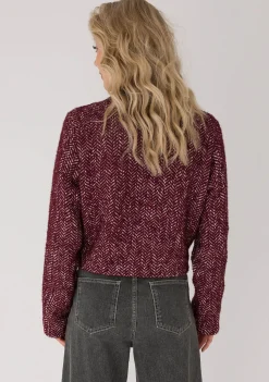 DAMES ANNA VAN TOOR JASJE