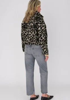 DAMES ANNA VAN TOOR JASJE