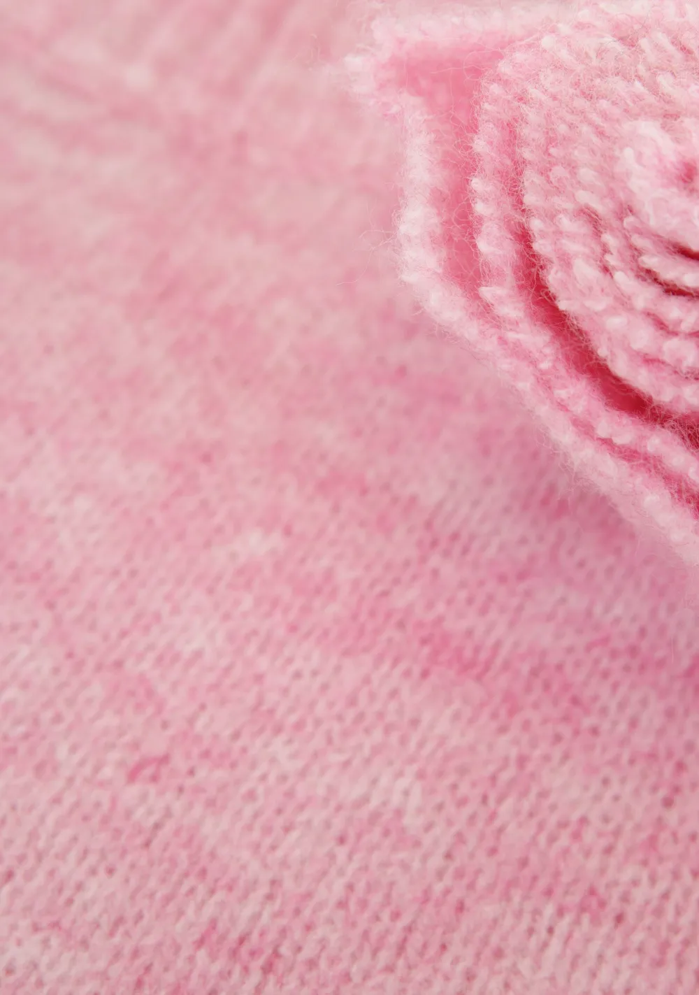 DAMES ANNA VAN TOOR TRUI