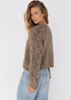 DAMES ANNA VAN TOOR TRUI