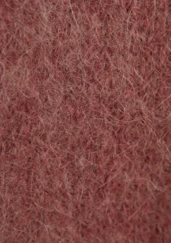 DAMES ANNA VAN TOOR TRUI