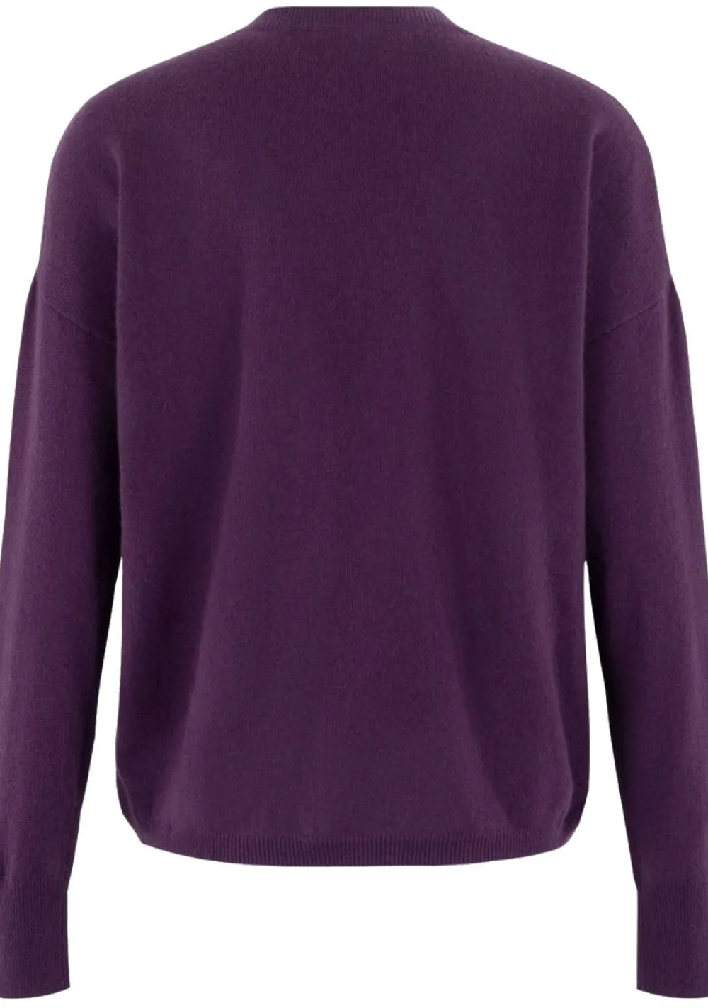 DAMES ANNA VAN TOOR TRUI