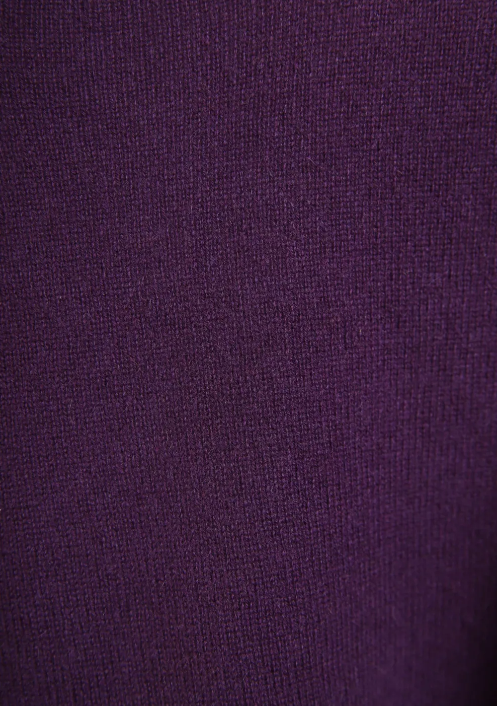 DAMES ANNA VAN TOOR TRUI