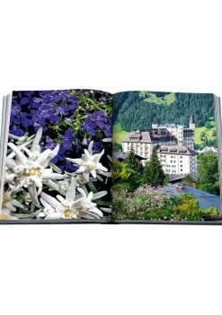 Heren ASSOULINE ACCESSOIRE