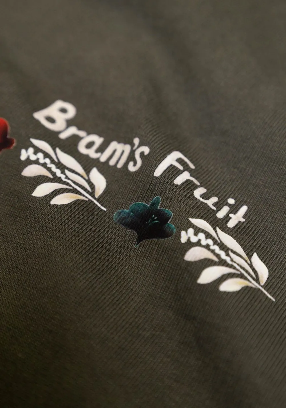 Heren BRAMS FRUIT TSHIRT