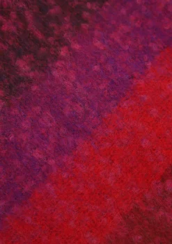 DAMES CASA DE SCIARPA SJAAL