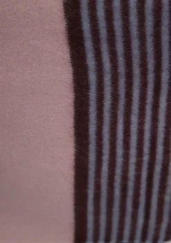 DAMES CASA DE SCIARPA SJAAL