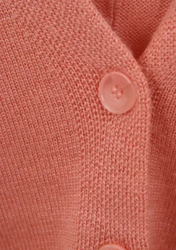 DAMES FRANK WALDER VEST