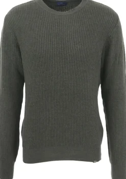 Heren PAUL EN SHARK TRUI