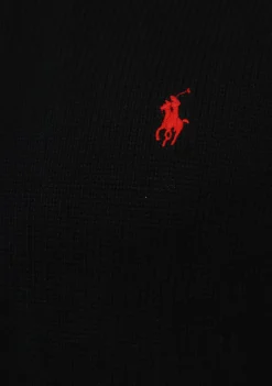Heren POLO RALPH LAUREN TRUI