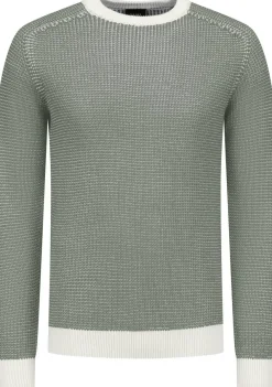 Heren SAINT STEVE TRUI