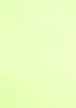 DAMES STIEGLITZ SHIRT