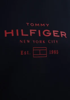 Heren TOMMY HILFIGER HOODIE