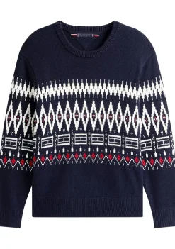 Heren TOMMY HILFIGER TRUI