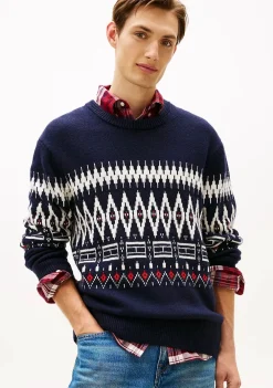 Heren TOMMY HILFIGER TRUI