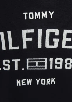 Heren TOMMY HILFIGER TRUI