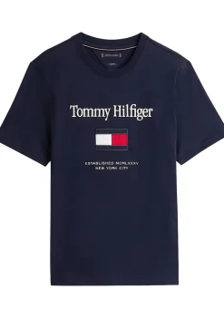 Heren TOMMY HILFIGER TSHIRT