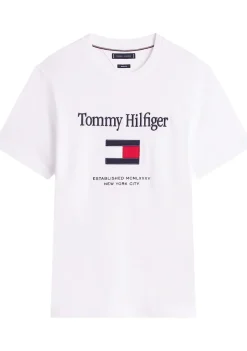 Heren TOMMY HILFIGER TSHIRT